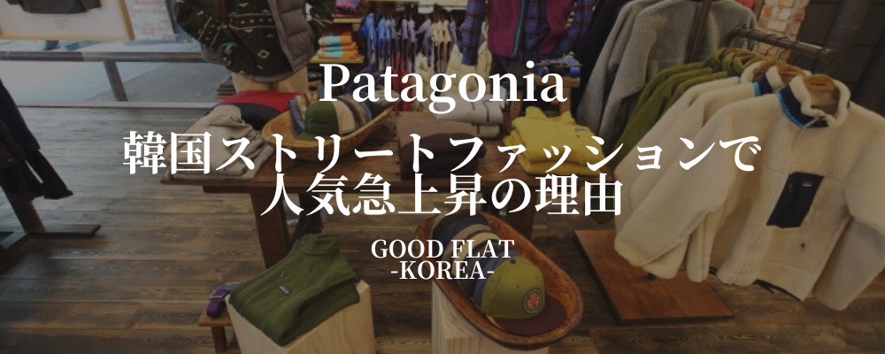 Patagonia(パタゴニア)❘韓国ストリートファッションで人気急上昇の理由